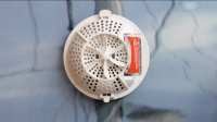 P-WAVE Easy Fresh Fans (each)